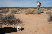 Search for deceased migrants in New Mexico