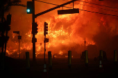 Wildfires in Los Angeles