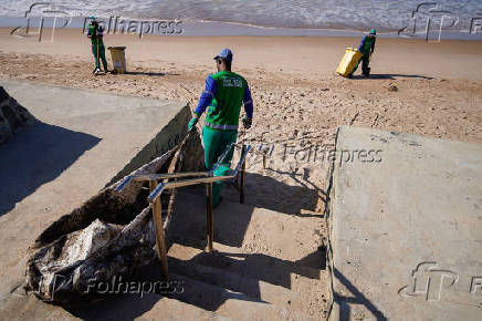 Agentes limpam manchas de leo na praia da Pituba, em Salvador (BA)