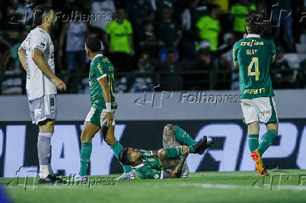 BRASILEIRO A 2024, PALMEIRAS X ATLETICO-MG