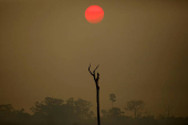 FILE PHOTO: A view of a deforested area at the National Forest Bom Futuro in Rio Pardo