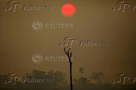 FILE PHOTO: A view of a deforested area at the National Forest Bom Futuro in Rio Pardo