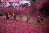 Wildfires in Los Angeles