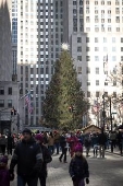 Arvore de Natal do Rockefelller center em Nova York