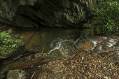 Riacho na entrada da Caverna do Diabo - Parque Estadual de Jacupiranga.