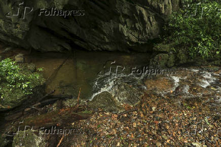 Riacho na entrada da Caverna do Diabo - Parque Estadual de Jacupiranga.