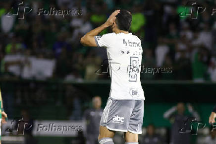 Partida entre Palmeiras e Atltico MG pelo Campeonato Brasileiro