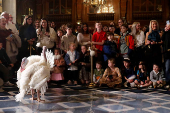 Two Minnesota turkeys are introduced a day ahead of their Thanksgiving holiday pardoning in Washington