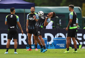 Copa Libertadores - Final - Botafogo Training