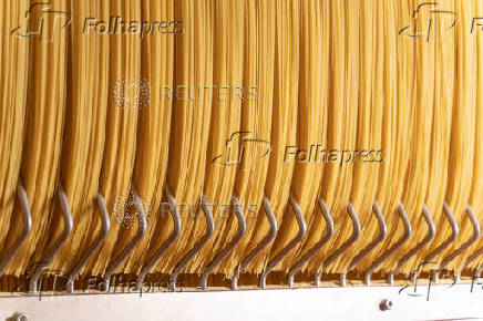 Turkey's durum exports ease the strain on pasta makers