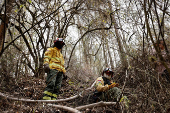 Aftermath of wildfires on the outskirts of Quito