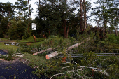 Aftermath of Hurricane Helene in Crawfordville