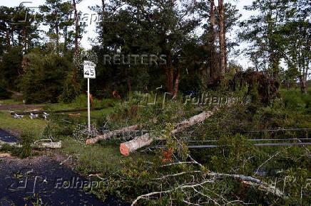 Aftermath of Hurricane Helene in Crawfordville