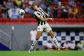 Brasileiro Championship - Botafogo v Gremio