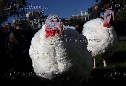 U.S. President Biden pardons the ThanksgivingTurkeys during the annual ceremony at the White House in Washington, U.S.