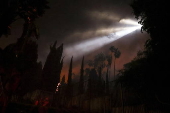 Firefighters battle the Sunset Wildfire in Los Angeles, California