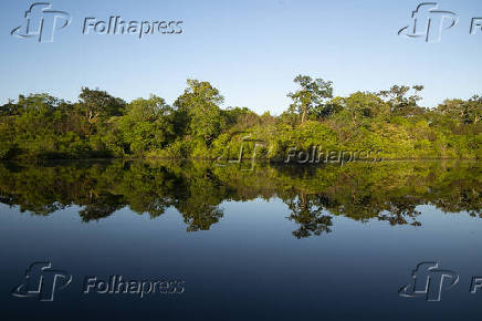 Paisagem no Rio Negro, na Amaznia