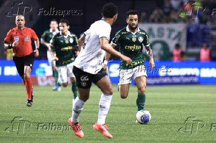 BRASILEIRO A 2024, PALMEIRAS X BOTAFOGO