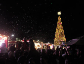 rvore de Natal do Parque Vila Lobos