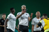 Partida entre palmeiras e botafogo pelo campeonato brasileiro de futebol 2024