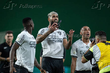 Partida entre palmeiras e botafogo pelo campeonato brasileiro de futebol 2024