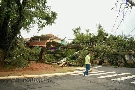 Forte chuva derrubou poste e rvore na zona leste de SP