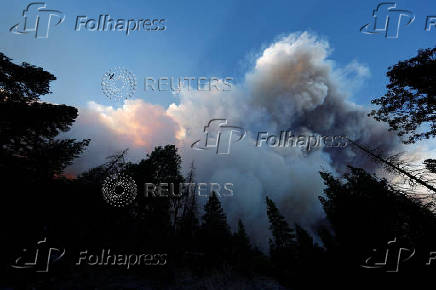 Wildfire near Butte Meadows, California