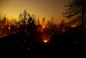 Line Fire in San Bernardino County