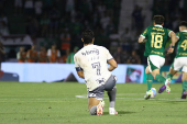 Partida entre Palmeiras e Atltico MG pelo Campeonato Brasileiro