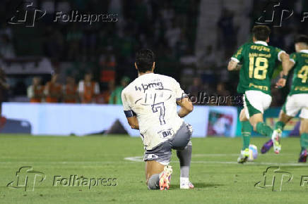 Partida entre Palmeiras e Atltico MG pelo Campeonato Brasileiro