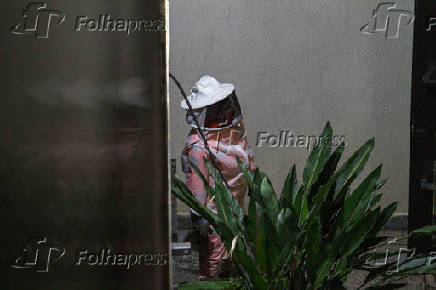 Bombeiros retiram caixa de marimbondo em BH