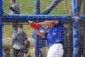 MLB: Los Angeles Dodgers-Workouts