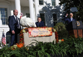 U.S. President Biden pardons the ThanksgivingTurkeys during the annual ceremony at the White House in Washington