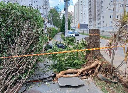 Chuva causa estragos em Cajamar (SP)