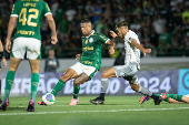 Partida entre Palmeiras e Attico-MG pelo Campeonato Brasileiro 2024