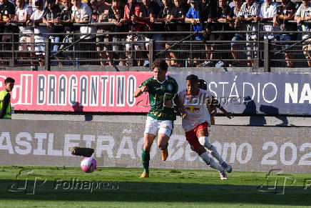 Red Bull Bragantino e Palmeiras