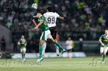 Palmeiras-Botafogo: Campeonato Brasileiro Serie A