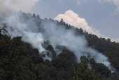 Forest fires spread in El Capulin