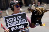 Activists protest against bullfighting, in Bogota