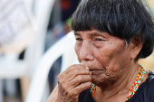 Signing of the Social Pact for Catatumbo, in Tibu