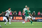 Partida entre palmeiras e botafogo pelo campeonato brasileiro de futebol 2024