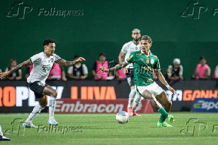 Partida entre palmeiras e botafogo pelo campeonato brasileiro de futebol 2024