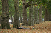 A person reads a book in St James's Park, in London