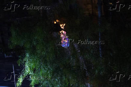 Bombeiros retiram caixa de marimbondo em BH