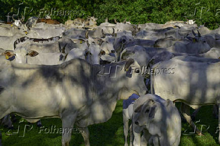 Propriedade rural no limite das cidade de So Jos dos Campos 