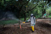 Nebulizao contra focos do mosquito Aedes aegypti na zona norte de So Paulo