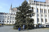 Christmas tree installed at the parliament building in Budapest