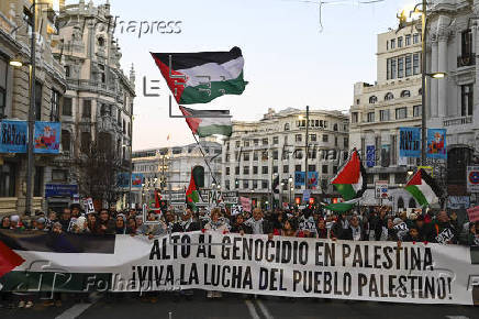 La red solidaria contra la ocupacin de Palestina convoca una manifestacin para parar el genocidio y en favor de la ruptura de relaciones con Israel