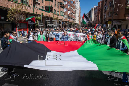 Una manifestacin pide en Logroo el alto el fuego en Palestina y el fin del genocidio