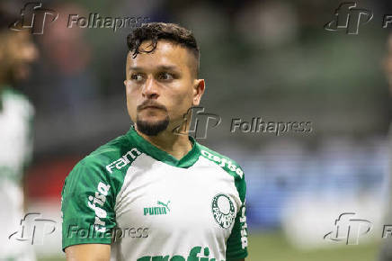 Folhapress Fotos Palmeiras America Mineiro Campeonato Brasileiro